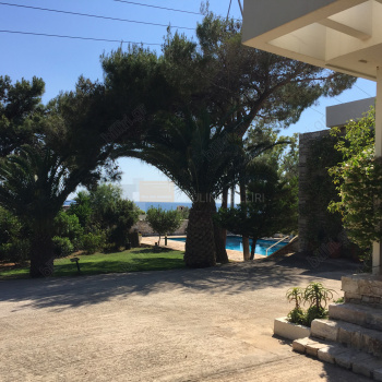 Kήπος - Garden